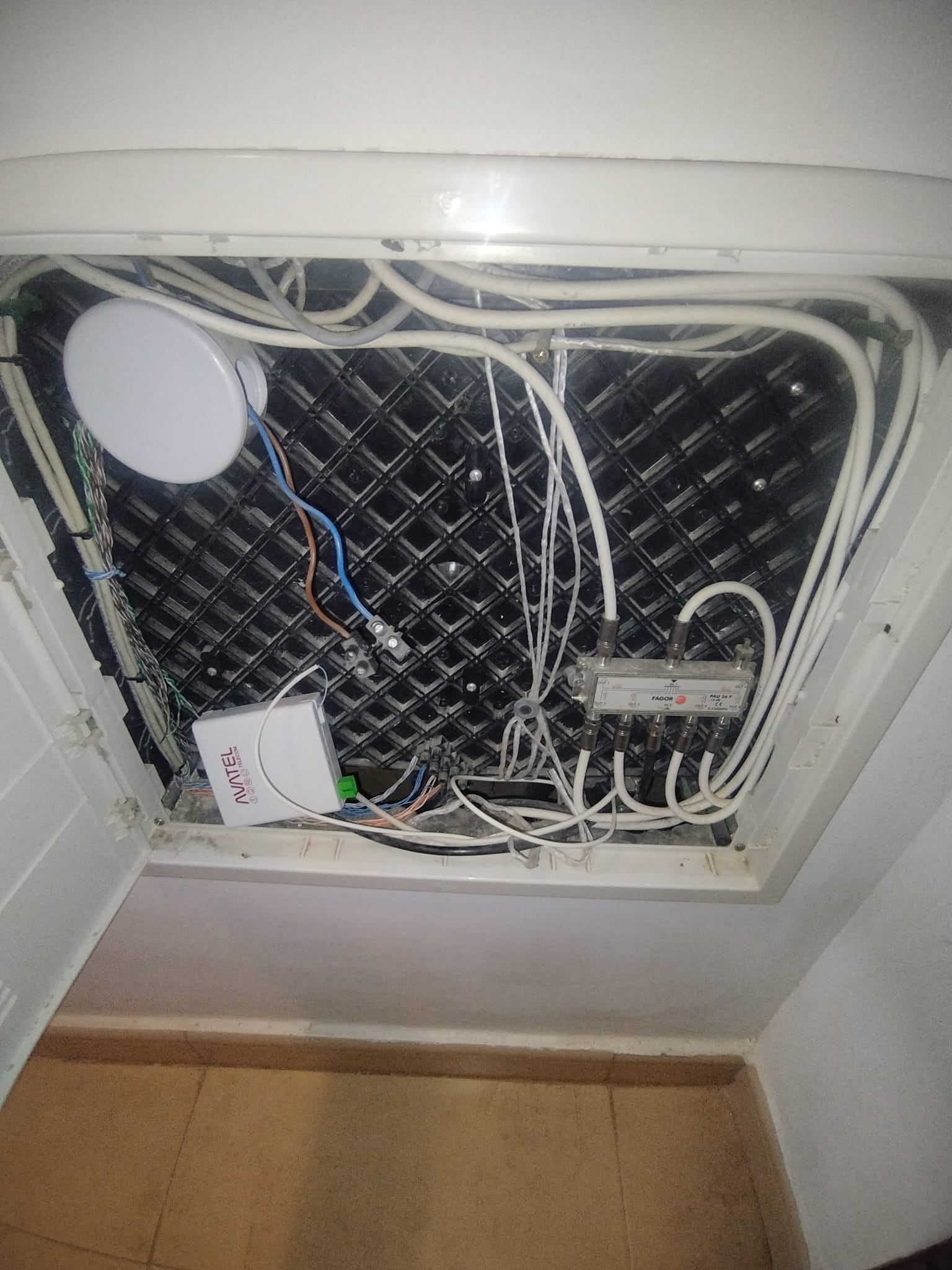 50059_WhatsApp Image 2026-02-09 at 19.10.35 (2).jpeg